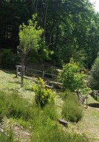 Jardin de "Bardot" - Visite guidée