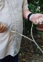 Journée Technique "Eaux et Forêts"